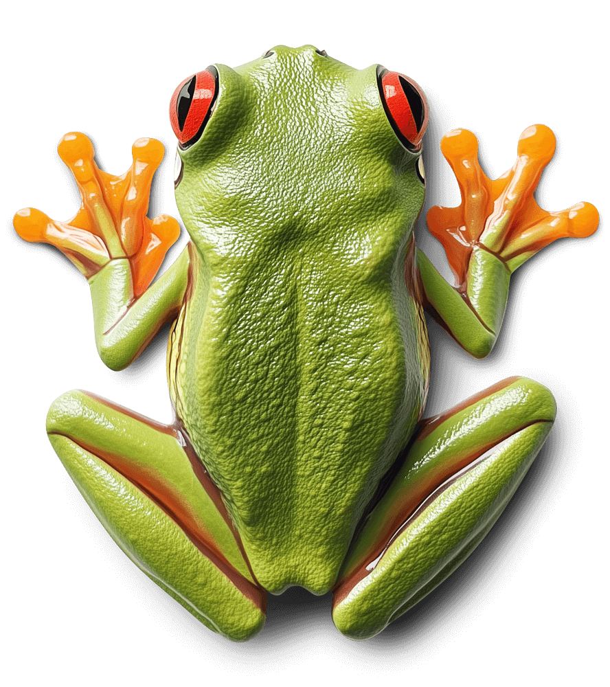 Hero Frog